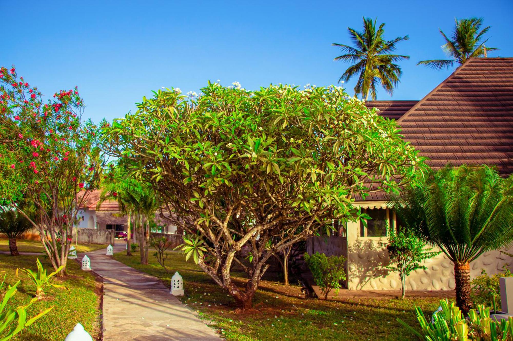 Mandarin Resort Zanzibar Kizimkazi Dış mekan fotoğraf